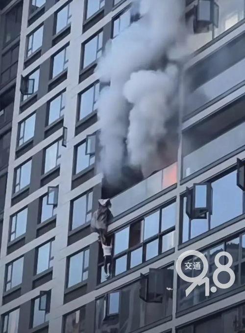 临平新闻爆料最新消息,重大事件引发社会关注! 第3张 临平新闻爆料最新消息,重大事件引发社会关注! 第3张